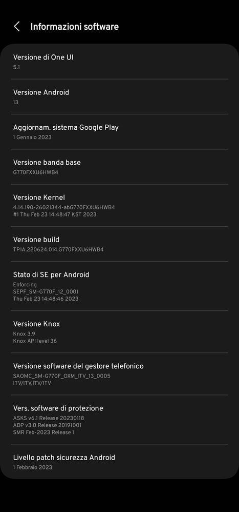 Samsung Galaxy S10 Lite One UI 5.1