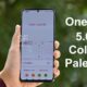 Samsung S21 One UI 5.0 Color Palette